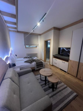 Privatni Studio Apartman RIO 029 u sklopu HOTEL VUČKO JAHORINA